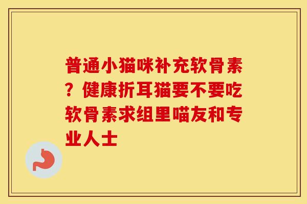 普通小猫咪补充软骨素?健康折耳猫要不要吃软骨素求组里喵友和专业人士 普通小猫咪补充软骨素?健康折耳猫要不要吃软骨素求组里喵友和专业人士