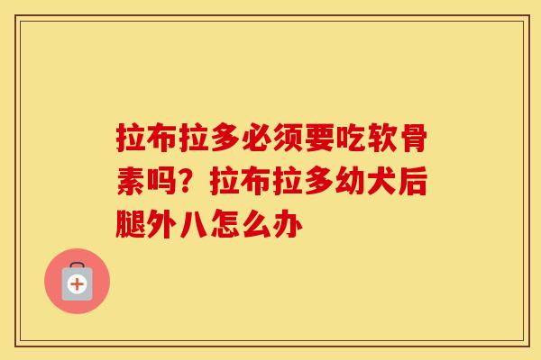 拉布拉多必须要吃软骨素吗?拉布拉多幼犬后腿外八怎么办 拉布拉多必须要吃软骨素吗?拉布拉多幼犬后腿外八怎么办