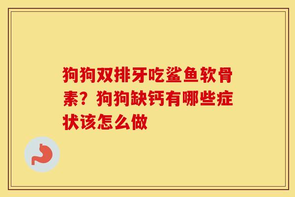 狗狗双排牙吃鲨鱼软骨素?狗狗缺钙有哪些症状该怎么做 狗狗双排牙吃鲨鱼软骨素?狗狗缺钙有哪些症状该怎么做