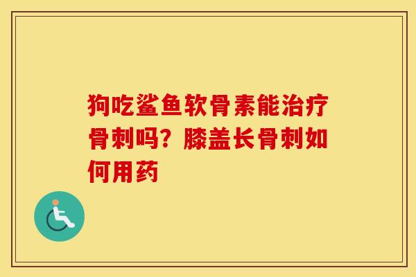 狗吃鲨鱼软骨素能吗?膝盖长如何用药 狗吃鲨鱼软骨素能吗?膝盖长如何用药