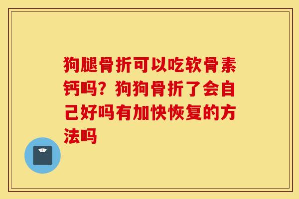 狗腿可以吃软骨素钙吗?狗狗了会自己好吗有加快恢复的方法吗 狗腿可以吃软骨素钙吗?狗狗了会自己好吗有加快恢复的方法吗