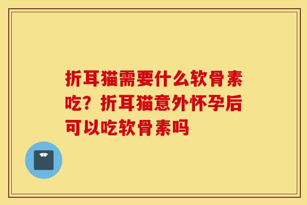 折耳猫需要什么软骨素吃?折耳猫意外怀孕后可以吃软骨素吗 折耳猫需要什么软骨素吃?折耳猫意外怀孕后可以吃软骨素吗