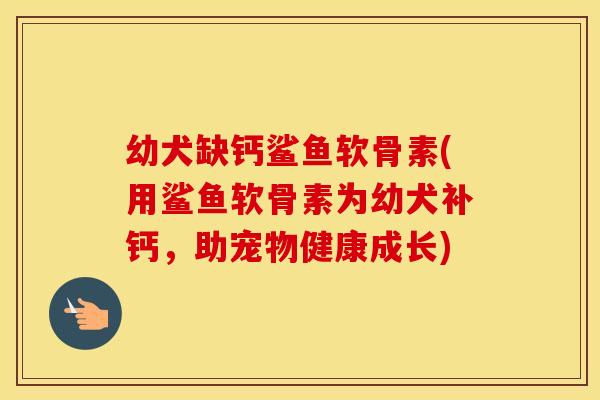 幼犬缺钙鲨鱼软骨素(用鲨鱼软骨素为幼犬补钙，助宠物健康成长)