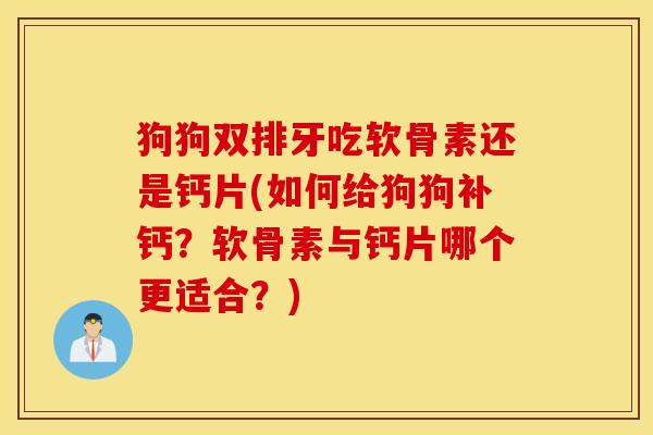 狗狗双排牙吃软骨素还是钙片(如何给狗狗补钙?软骨素与钙片哪个更适合?) 狗狗双排牙吃软骨素还是钙片(如何给狗狗补钙?软骨素与钙片哪个更适合?)