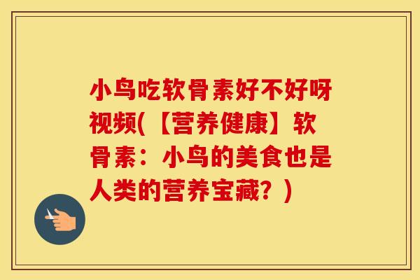 小鸟吃软骨素好不好呀视频(【营养健康】软骨素：小鸟的美食也是人类的营养宝藏？)
