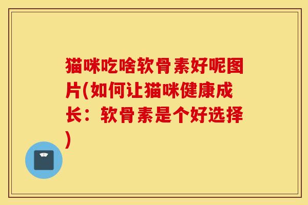 猫咪吃啥软骨素好呢图片(如何让猫咪健康成长：软骨素是个好选择)