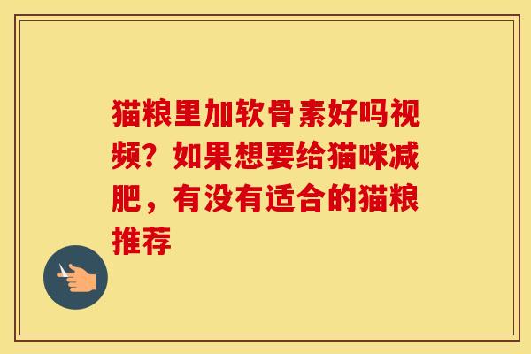 猫粮里加软骨素好吗视频?如果想要给猫咪,有没有适合的猫粮推荐 猫粮里加软骨素好吗视频?如果想要给猫咪,有没有适合的猫粮推荐