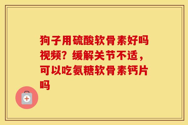 狗子用硫酸软骨素好吗视频?缓解关节不适,可以吃氨糖软骨素钙片吗 狗子用硫酸软骨素好吗视频?缓解关节不适,可以吃氨糖软骨素钙片吗