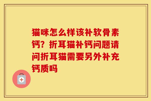 猫咪怎么样该补软骨素钙?折耳猫补钙问题请问折耳猫需要另外补充钙质吗 猫咪怎么样该补软骨素钙?折耳猫补钙问题请问折耳猫需要另外补充钙质吗