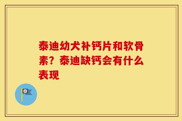泰迪幼犬补钙片和软骨素?泰迪缺钙会有什么表现 泰迪幼犬补钙片和软骨素?泰迪缺钙会有什么表现