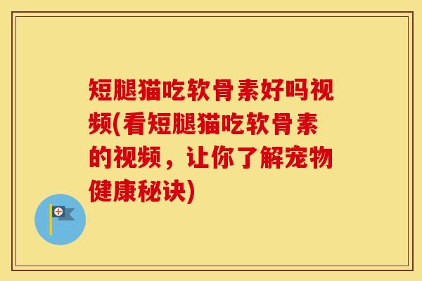 短腿猫吃软骨素好吗视频(看短腿猫吃软骨素的视频,让你了解宠物健康秘诀) 短腿猫吃软骨素好吗视频(看短腿猫吃软骨素的视频,让你了解宠物健康秘诀)