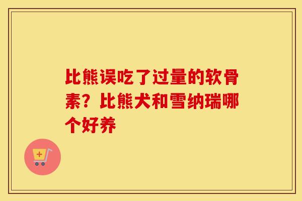 比熊误吃了过量的软骨素?比熊犬和雪纳瑞哪个好养 比熊误吃了过量的软骨素?比熊犬和雪纳瑞哪个好养
