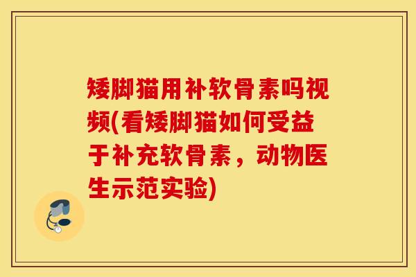 矮脚猫用补软骨素吗视频(看矮脚猫如何受益于补充软骨素,动物医生示范实验) 矮脚猫用补软骨素吗视频(看矮脚猫如何受益于补充软骨素,动物医生示范实验)