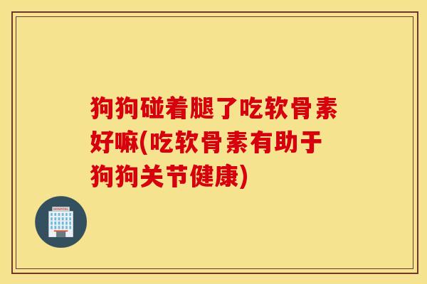 狗狗碰着腿了吃软骨素好嘛(吃软骨素有助于狗狗关节健康) 狗狗碰着腿了吃软骨素好嘛(吃软骨素有助于狗狗关节健康)