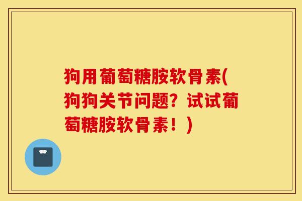 狗用葡萄糖胺软骨素(狗狗关节问题?试试葡萄糖胺软骨素!) 狗用葡萄糖胺软骨素(狗狗关节问题?试试葡萄糖胺软骨素!)