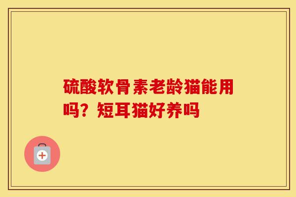 硫酸软骨素老龄猫能用吗?短耳猫好养吗 硫酸软骨素老龄猫能用吗?短耳猫好养吗