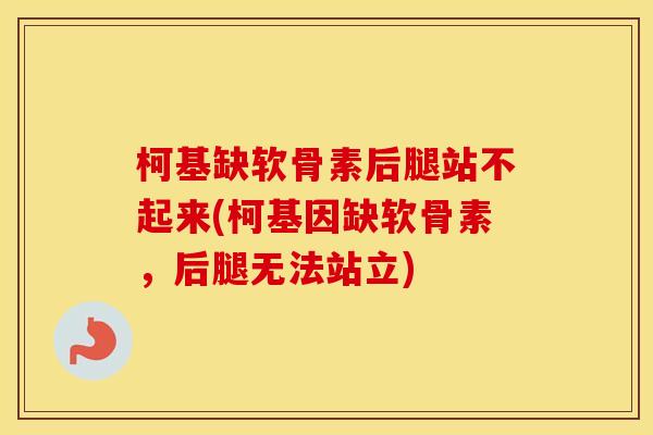 柯基缺软骨素后腿站不起来(柯基因缺软骨素,后腿无法站立) 柯基缺软骨素后腿站不起来(柯基因缺软骨素,后腿无法站立)