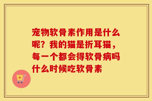 宠物软骨素作用是什么呢？我的猫是折耳猫，每一个都会得软骨吗什么时候吃软骨素