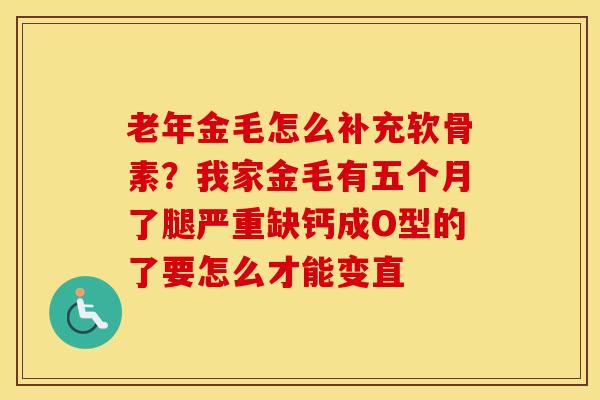 老年金毛怎么补充软骨素？我家金毛有五个月了腿严重缺钙成O型的了要怎么才能变直