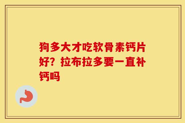 狗多大才吃软骨素钙片好？拉布拉多要一直补钙吗