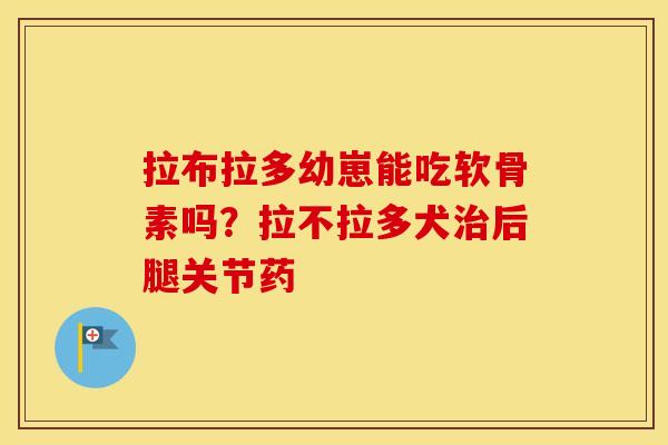 拉布拉多幼崽能吃软骨素吗?拉不拉多犬后腿关节药 拉布拉多幼崽能吃软骨素吗?拉不拉多犬后腿关节药