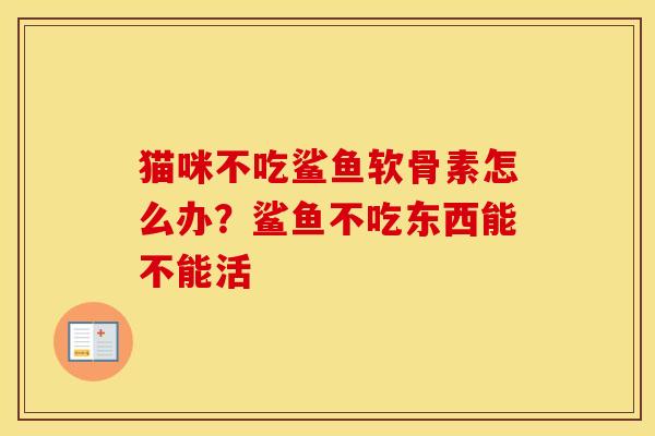 猫咪不吃鲨鱼软骨素怎么办？鲨鱼不吃东西能不能活
