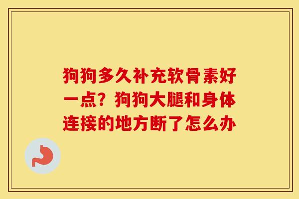 狗狗多久补充软骨素好一点？狗狗大腿和身体连接的地方断了怎么办
