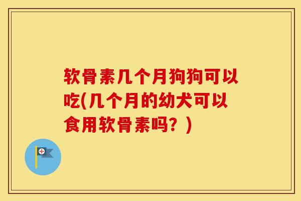 软骨素几个月狗狗可以吃(几个月的幼犬可以食用软骨素吗?) 软骨素几个月狗狗可以吃(几个月的幼犬可以食用软骨素吗?)