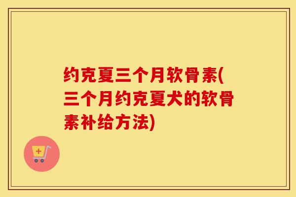 约克夏三个月软骨素(三个月约克夏犬的软骨素补给方法)