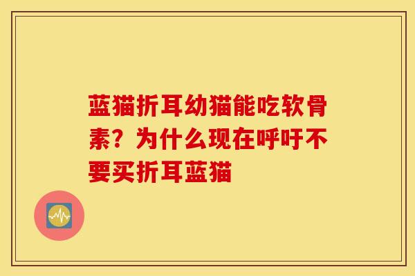 蓝猫折耳幼猫能吃软骨素?为什么现在呼吁不要买折耳蓝猫 蓝猫折耳幼猫能吃软骨素?为什么现在呼吁不要买折耳蓝猫