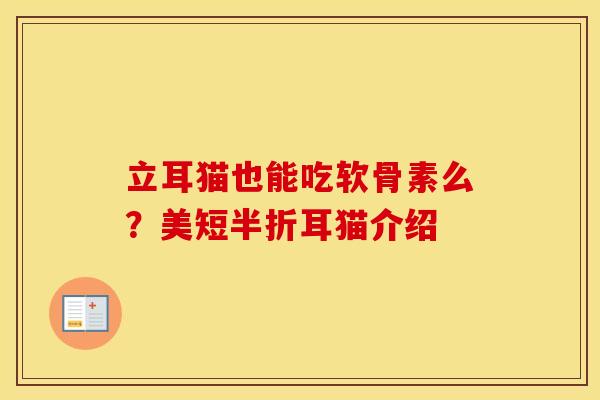 立耳猫也能吃软骨素么?美短半折耳猫介绍 立耳猫也能吃软骨素么?美短半折耳猫介绍