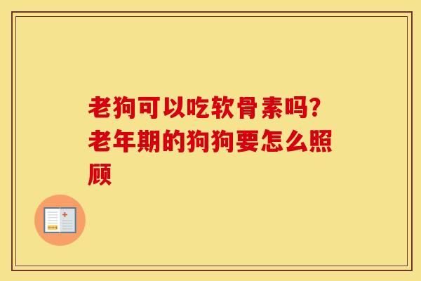 老狗可以吃软骨素吗？老年期的狗狗要怎么照顾