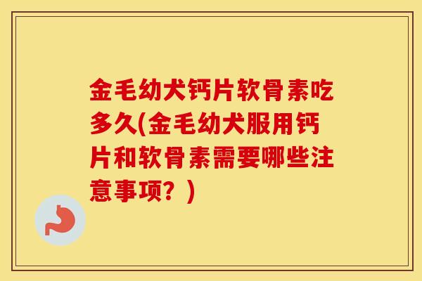 金毛幼犬钙片软骨素吃多久(金毛幼犬服用钙片和软骨素需要哪些注意事项?) 金毛幼犬钙片软骨素吃多久(金毛幼犬服用钙片和软骨素需要哪些注意事项?)