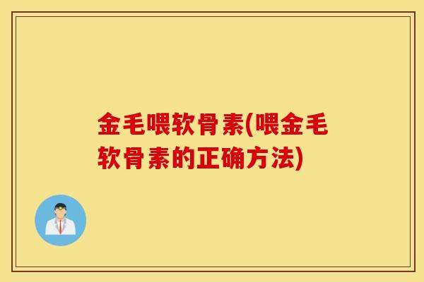 金毛喂软骨素(喂金毛软骨素的正确方法) 金毛喂软骨素(喂金毛软骨素的正确方法)