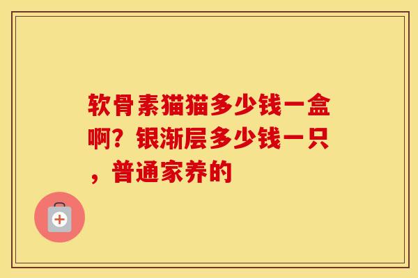 软骨素猫猫多少钱一盒啊?银渐层多少钱一只,普通家养的 软骨素猫猫多少钱一盒啊?银渐层多少钱一只,普通家养的