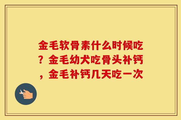 金毛软骨素什么时候吃?金毛幼犬吃骨头补钙,金毛补钙几天吃一次 金毛软骨素什么时候吃?金毛幼犬吃骨头补钙,金毛补钙几天吃一次