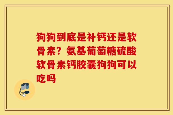 狗狗到底是补钙还是软骨素?氨基葡萄糖硫酸软骨素钙胶囊狗狗可以吃吗 狗狗到底是补钙还是软骨素?氨基葡萄糖硫酸软骨素钙胶囊狗狗可以吃吗
