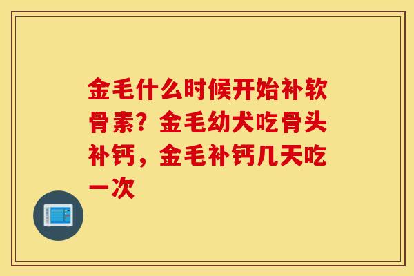 金毛什么时候开始补软骨素?金毛幼犬吃骨头补钙,金毛补钙几天吃一次 金毛什么时候开始补软骨素?金毛幼犬吃骨头补钙,金毛补钙几天吃一次
