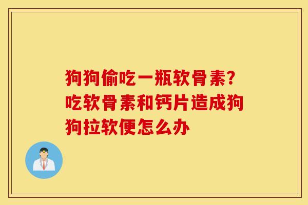 狗狗偷吃一瓶软骨素?吃软骨素和钙片造成狗狗拉软便怎么办 狗狗偷吃一瓶软骨素?吃软骨素和钙片造成狗狗拉软便怎么办