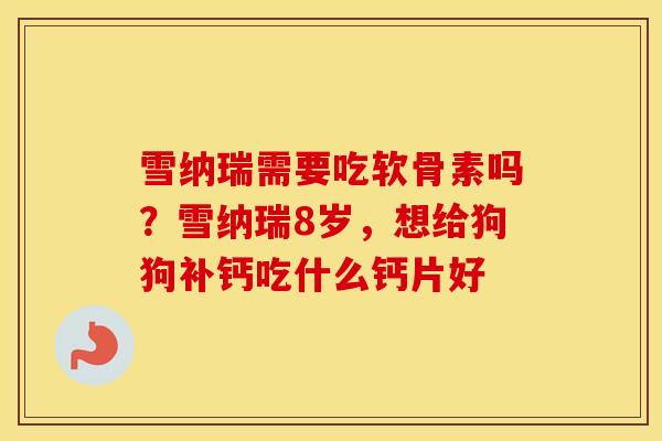 雪纳瑞需要吃软骨素吗?雪纳瑞8岁,想给狗狗补钙吃什么钙片好 雪纳瑞需要吃软骨素吗?雪纳瑞8岁,想给狗狗补钙吃什么钙片好