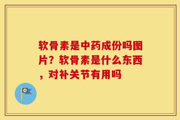 软骨素是成份吗图片?软骨素是什么东西,对补关节有用吗 软骨素是成份吗图片?软骨素是什么东西,对补关节有用吗