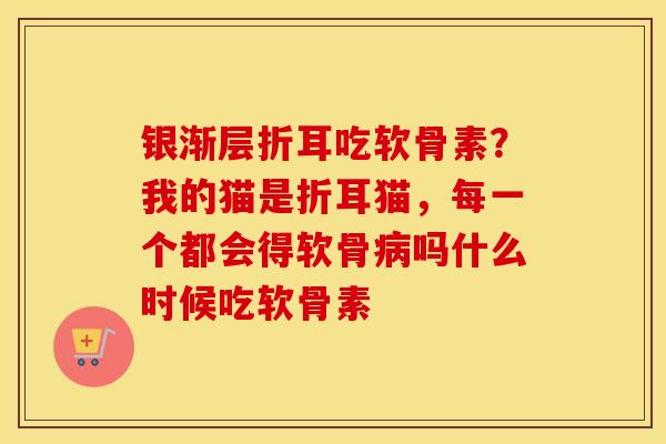 银渐层折耳吃软骨素？我的猫是折耳猫，每一个都会得软骨吗什么时候吃软骨素