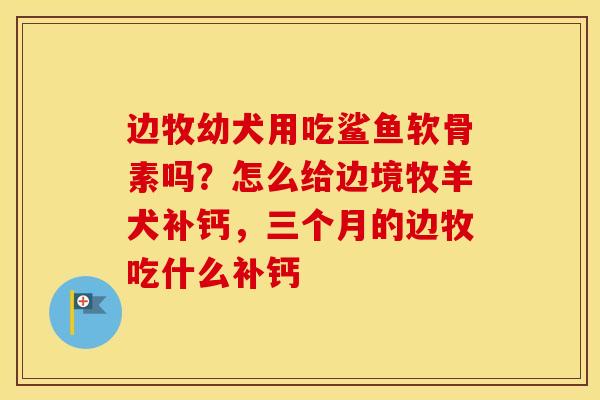 边牧幼犬用吃鲨鱼软骨素吗?怎么给边境牧羊犬补钙,三个月的边牧吃什么补钙 边牧幼犬用吃鲨鱼软骨素吗?怎么给边境牧羊犬补钙,三个月的边牧吃什么补钙