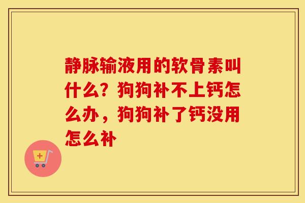 静脉输液用的软骨素叫什么?狗狗补不上钙怎么办,狗狗补了钙没用怎么补 静脉输液用的软骨素叫什么?狗狗补不上钙怎么办,狗狗补了钙没用怎么补