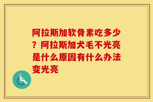 阿拉斯加软骨素吃多少?阿拉斯加犬毛不光亮是什么原因有什么办法变光亮 阿拉斯加软骨素吃多少?阿拉斯加犬毛不光亮是什么原因有什么办法变光亮
