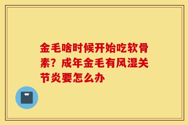 金毛啥时候开始吃软骨素?成年金毛有要怎么办 金毛啥时候开始吃软骨素?成年金毛有要怎么办