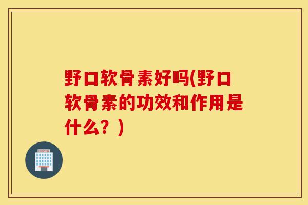 野口软骨素好吗(野口软骨素的功效和作用是什么?) 野口软骨素好吗(野口软骨素的功效和作用是什么?)