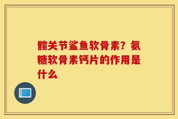 髋关节鲨鱼软骨素?氨糖软骨素钙片的作用是什么 髋关节鲨鱼软骨素?氨糖软骨素钙片的作用是什么