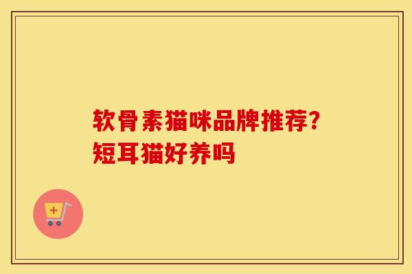 软骨素猫咪品牌推荐?短耳猫好养吗 软骨素猫咪品牌推荐?短耳猫好养吗