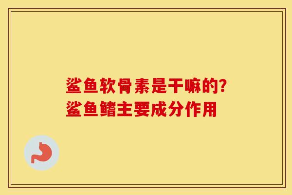 鲨鱼软骨素是干嘛的?鲨鱼鳍主要成分作用 鲨鱼软骨素是干嘛的?鲨鱼鳍主要成分作用